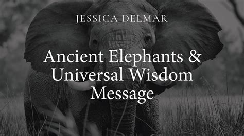  The Elephant's Feast: A Tale of Ancient Wisdom and Unexpected Consequences!