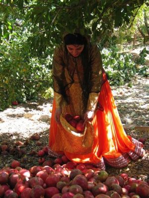 “The Enchanted Pomegranate”: A Timeless Iranian Folktale Filled With Magic and Moral Lessons!